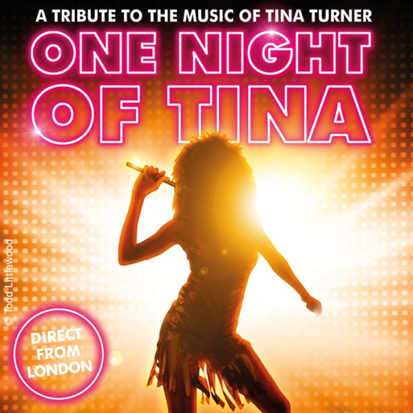 One Night of Tina © Show Factory Entertainment GmbH