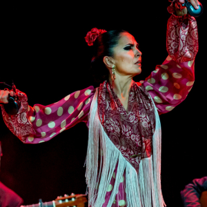 Flamenco Vidra © Theaterverein Wiener Metropol